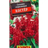 Семена цветов Сальвия Костер , Ц/П,0,1 г