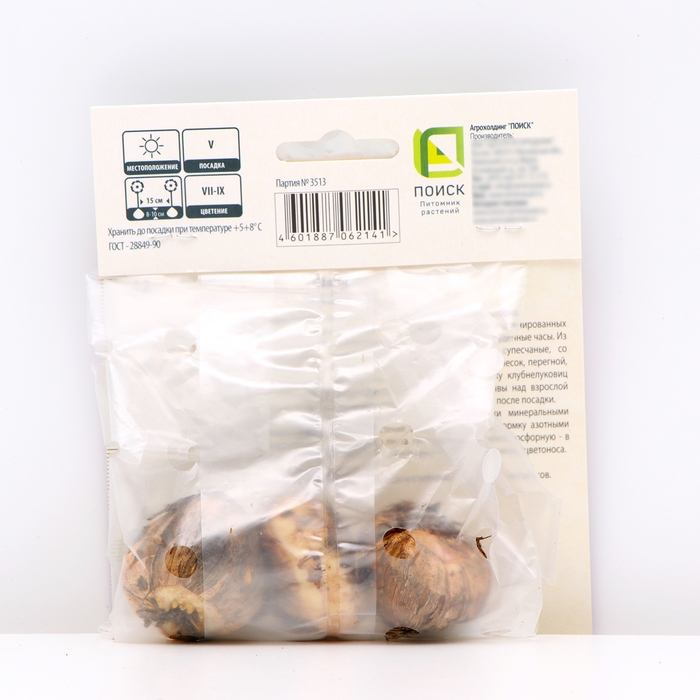 Гладиолус крупноцветковый &laquo;Астарта&raquo;, луковица цветов в пакете с перфорацией, р-р 10/12, 3 шт.