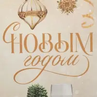 Пакет под бутылку &laquo;Шампанское&raquo;, 13 x 36 x 10 см