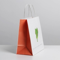 Пакет подарочный, упаковка, &laquo;Просто будь&raquo;, 22 х 22 х 11 см