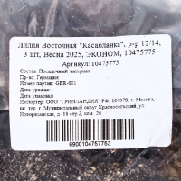 Лилия Восточная "Касабланка", р-р 12/14, 3 шт, Весна 2025, ЭКОНОМ,
