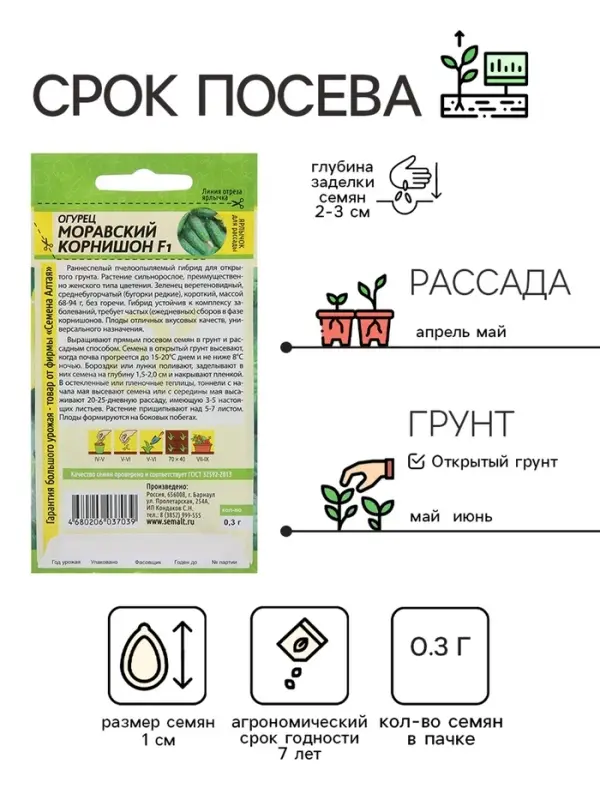 Семена Огурец "Моравский Корнишон", F1, Сем. Алт, ц/п, 0,3 г