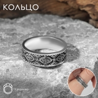 Кольцо &laquo;Папоротник&raquo; цвет чернёное серебро, 19 размер