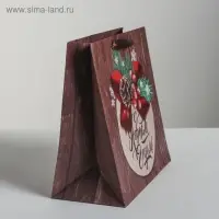 Пакет подарочный новогодний ламинированный квадратный &laquo;Новогоднее поздравление&raquo;, 22 х 22 х 11 см