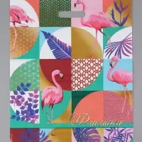 Пакет "Яркий фламинго, полиэтиленовый с вырубной ручкой, 41х51 80 мкм