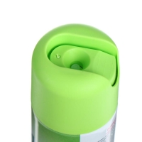 Освежитель воздуха &laquo;Голд Винд&raquo; 2 в 1 цитрус, 300 мл