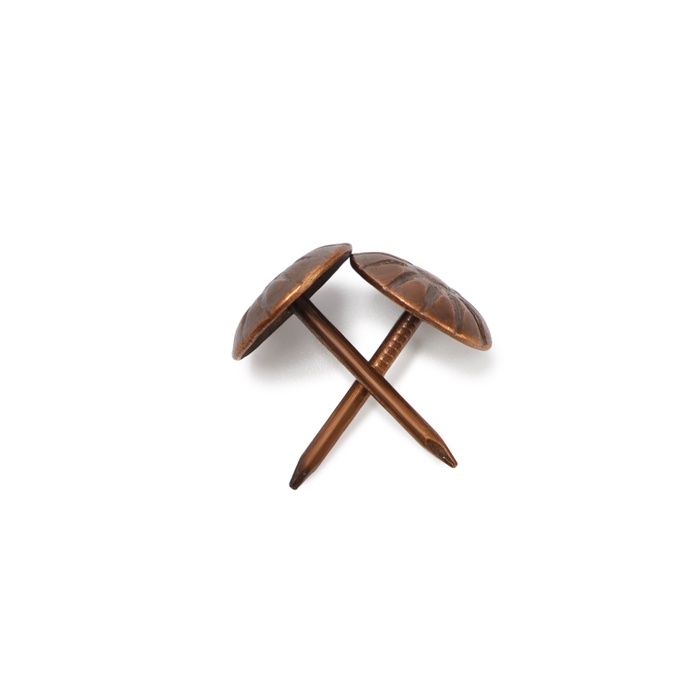 Гвозди ТУНДРА, декоративные, обивочные, фактурные, 11х16 мм, медь, 100 шт Гвозди ТУНДРА, декоративные, обивочные, фактурные, 11х16 мм, медь, 100 шт