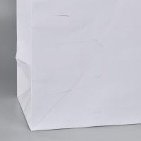 Пакет подарочный ламинированный, упаковка, &laquo;Белый&raquo;, 40 х 49 х 15 см