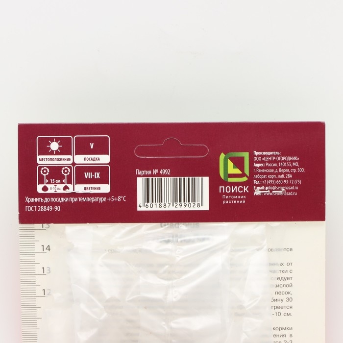 Гладиолус крупноцветковый &laquo;Шинон&raquo;, луковица цветов в пакете с перфорацией, р-р 12/14, 5 шт.