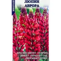 Семена Люпин Аврора /Сотка/ 0,3 г красновато-розовый, многолетн, 60-80см/*1000