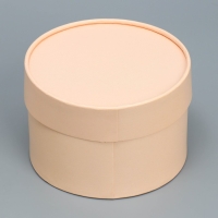 Коробка подарочная, упаковка, «Бежевый», 13 х 9 см Коробка подарочная, упаковка, «Бежевый», 13 х 9 см