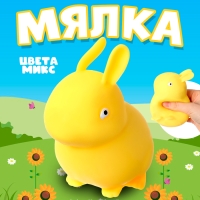 Мялка &laquo;Зайка&raquo; с пастой, цвета МИКС
