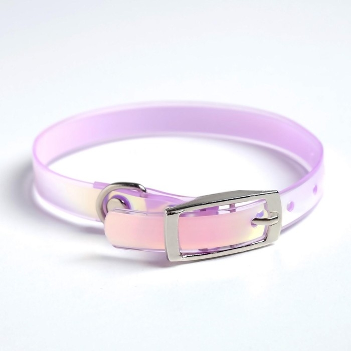 Ошейник для собак и кошек с фастексом &laquo;Неон&raquo;, 30 х 1 см