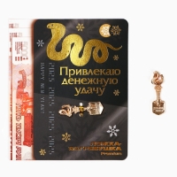 Ложка загребушка, кошельковый талисман новогодний &laquo;Новый год: Привлекаю удачу&raquo;, 7 х 7 см