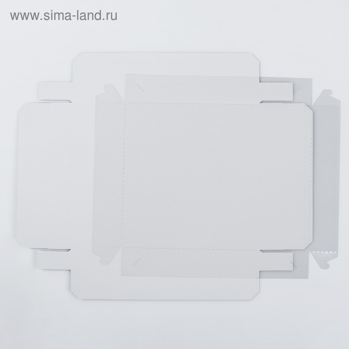 Коробка с прозрачной крышкой белая, 26 х 21х 4 см Коробка с прозрачной крышкой белая, 26 х 21х 4 см