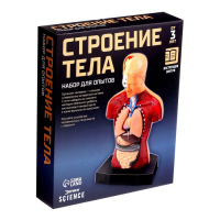 Научный опыт &laquo;Строение тела&raquo;