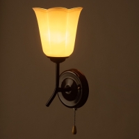 Бра "Онлайн" (цвет.) 1х15Вт Е27 МОДЕЛЬ:BR 02084 венге 10,5х15х27см Бра "Онлайн" (цвет.) 1х15Вт Е27 МОДЕЛЬ:BR 02084 венге 10,5х15х27см