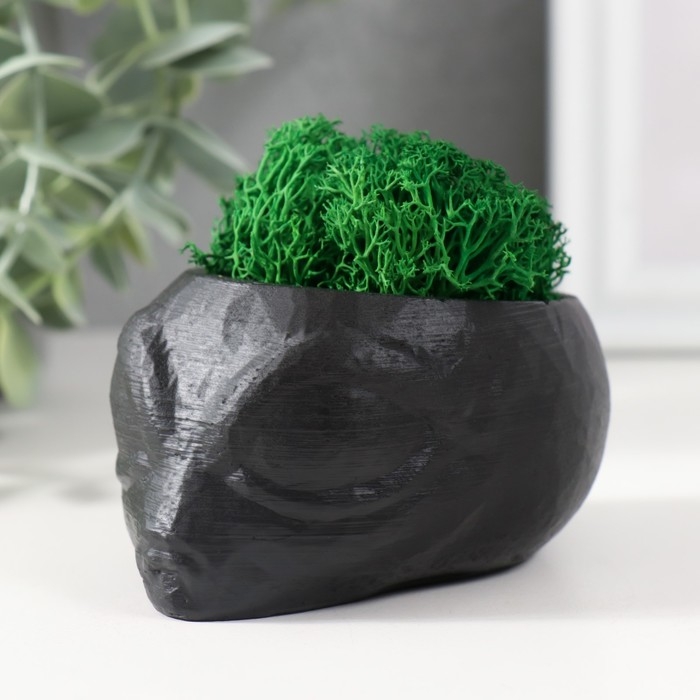 Кашпо бетонное Кашпо бетонное "Пришелец" высота 5 см, d-6 см черный со мхом (мох зелен. стабилизир)