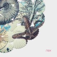 Коврик противоскользящий в ванну на присосках Доляна &laquo;Ракушки&raquo;, 39&times;65 см