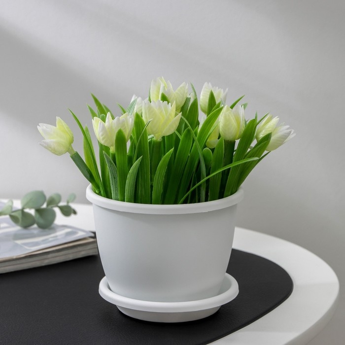 Горшок для цветов с поддоном «Афина», 500 мл, пластиковый, цвет белый Горшок для цветов с поддоном «Афина», 500 мл, пластиковый, цвет белый