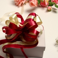 Бант-шар №7 Бант-шар №7