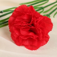 Цветы искусственные "Куст гвоздики" 70 см d-7 см, микс Цветы искусственные "Куст гвоздики" 70 см d-7 см, микс