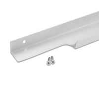 Ручка торцевая CAPPIO RP100SC, L=1000 мм, цвет  матовый хром