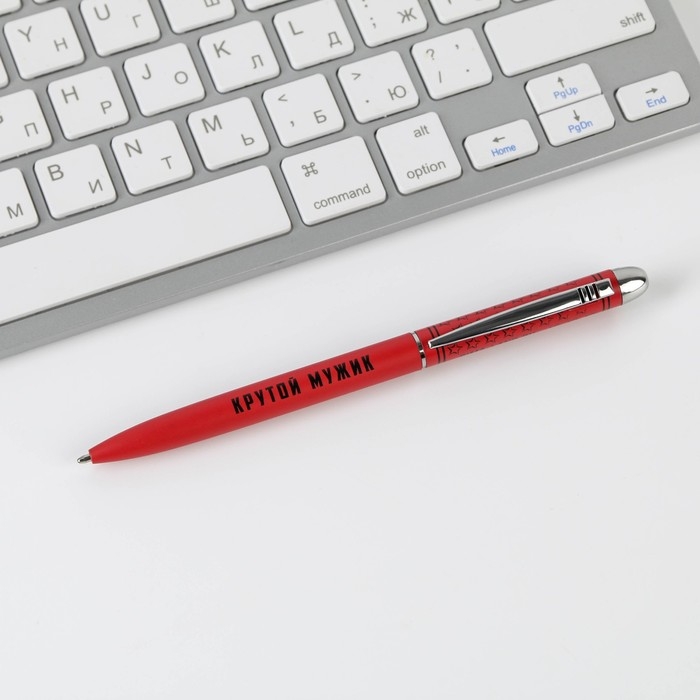 Подарочная ручка &laquo;Тому, кто держит удар&raquo;, матовая, металл