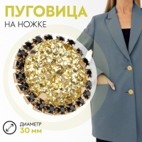 Пуговица декоративная, d = 30 мм, цвет золотой/чёрный Пуговица декоративная, d = 30 мм, цвет золотой/чёрный