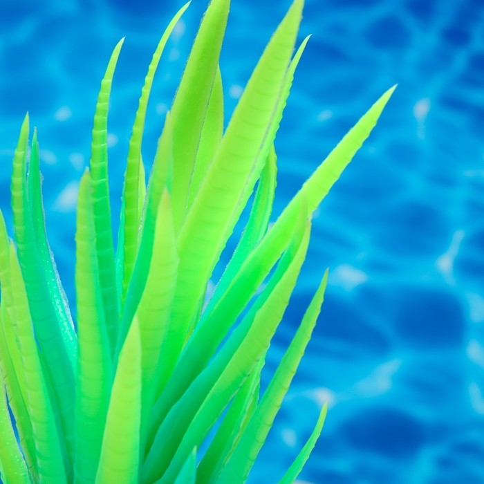 Растение искусственное аквариумное, светящееся, 20 см, зелёное Растение искусственное аквариумное, светящееся, 20 см, зелёное