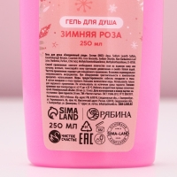 Подарочный набор косметики новогодний &laquo;Исполнения желаний!&raquo;, гель для душа и шампунь для волос, 2 х 250 мл, Новый Год