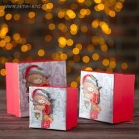 Набор коробок 3 в 1 &laquo;Топтыгин&raquo;, 13 х 13 х 8- 9 х 9 х 6 см