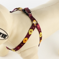 Комплект &laquo;Пчёлы&raquo;, шлейка 24-36 см, поводок 120х1 см