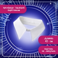 Карнавальный набор &laquo;Мрачная девчонка&raquo;, р. XXS: парик, юбка, чулки, воротник