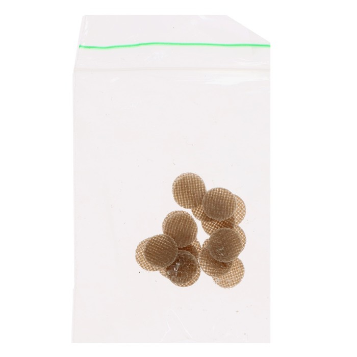 Развивающий комплект &laquo;Коврограф &laquo;Ларчик&raquo; + методика