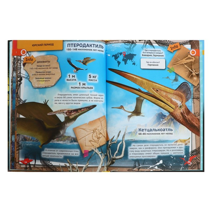 Энциклопедия 4D в дополненной реальности «Динозавры» Энциклопедия 4D в дополненной реальности «Динозавры»
