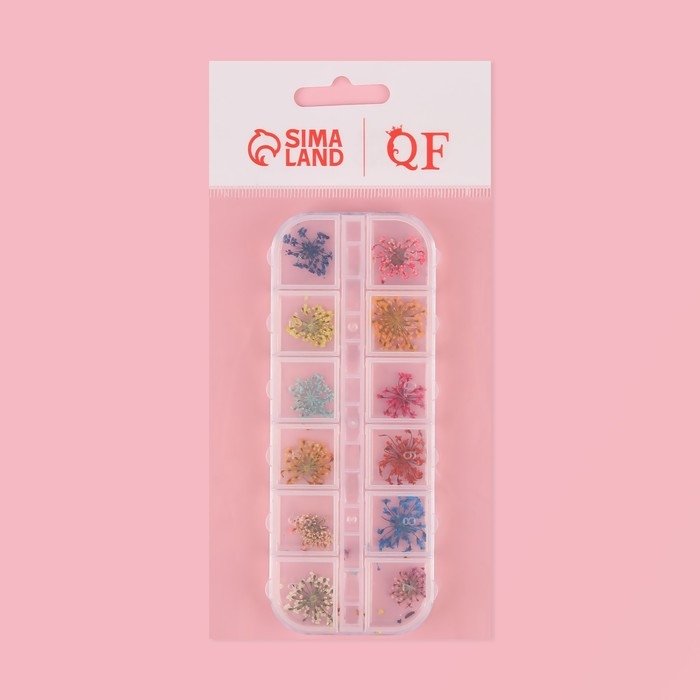 Сухоцветы для декора ногтей, 12 видов, в футляре, цвет разноцветный Сухоцветы для декора ногтей, 12 видов, в футляре, цвет разноцветный