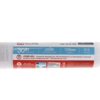 Лампа светодиодная IN HOME LED-T8-М-PRO, 30 Вт, 230 В, G13, 6500 К, 3000 Лм, 1200 мм матовая Лампа светодиодная IN HOME LED-T8-М-PRO, 30 Вт, 230 В, G13, 6500 К, 3000 Лм, 1200 мм матовая