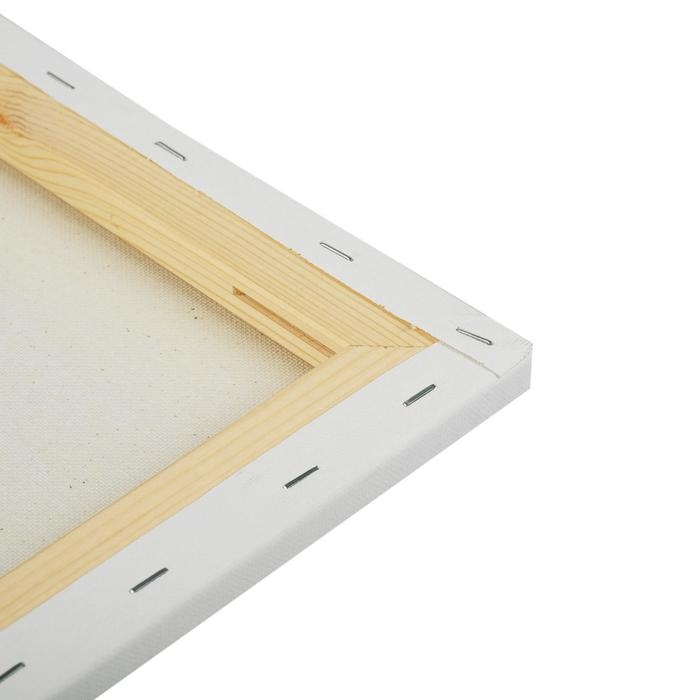 Холст на подрамнике, хлопок 100%, 50 х 50 х 1.8 см, акриловый грунт, мелкозернистый, 280 г/м2, &laquo;Студия&raquo;