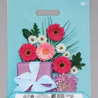 Пакет подарочный Подарочная композиция  40 х 31 см 60 мкм