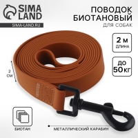 Поводок биотановый 2 м х 20 мм, коричневый Поводок биотановый 2 м х 20 мм, коричневый