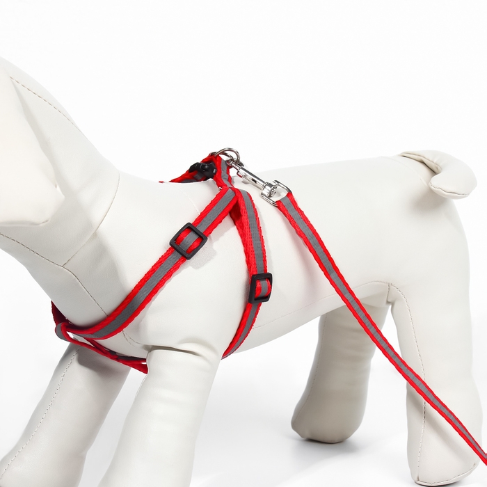 Комплект со светоотражающей лентой, ошейник 120 х 1 см, ОГ 26-40 см, красный
