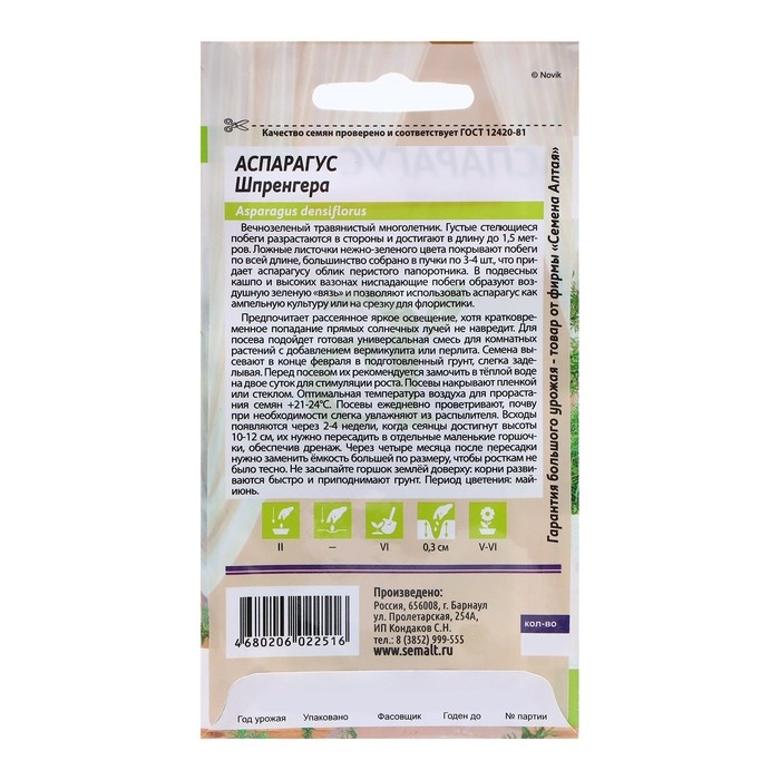 Семена Аспарагус "Шпренггера", ц/п,  5 шт