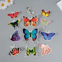 Набор магнитов на холодильник &laquo;Натуральные&raquo;, 12 шт., картон, h=4-10 см