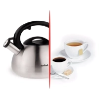 Чайник для плиты C7921024 из нержавеющей стали, со свистком