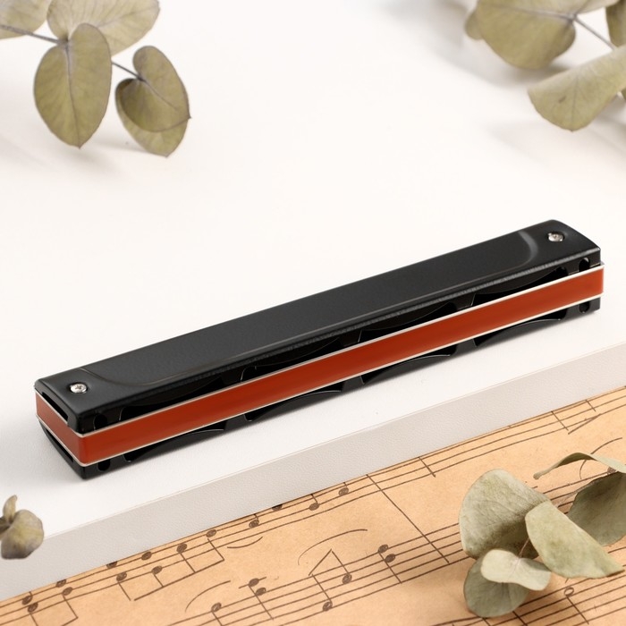 Губная гармошка Music Life T22K тремоло, с футляром Губная гармошка Music Life T22K тремоло, с футляром