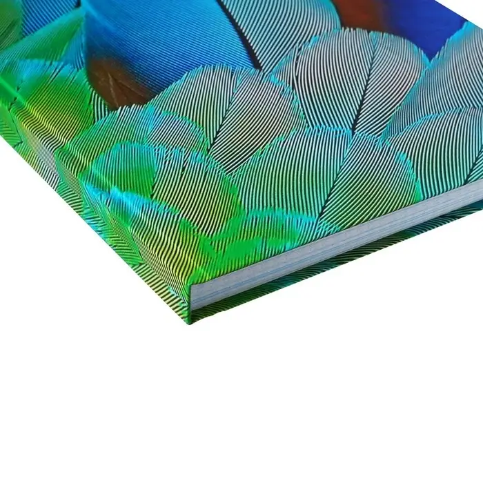 Колледж-тетрадь в твердой обложке 7БЦ, А4, 160 листов, Перья, блок в клетку, матовая ламинация, ВЫБОРОЧНЫЙ ЛАК