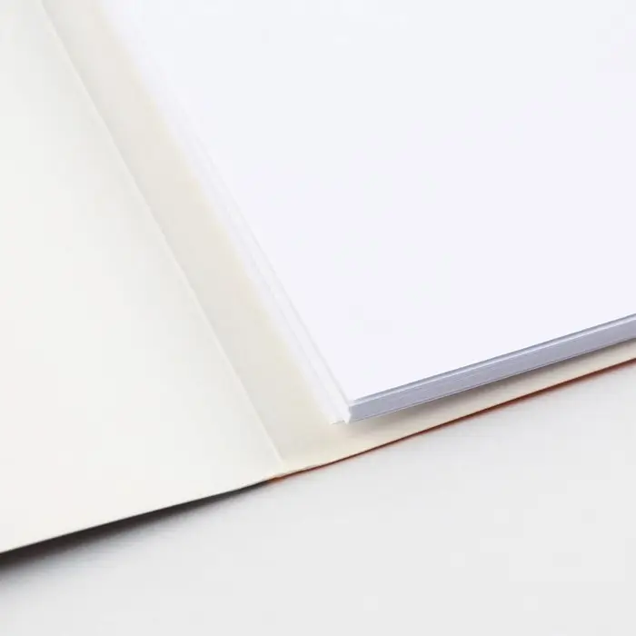 Бумага для черчения А4, 20 листов, без рамки, белизна 100%, 160 г/м&sup2; в папке