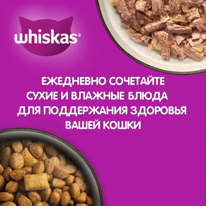 Влажный корм Whiskas для котят, рагу курица, 75 г