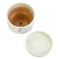 Горшок цветочный с поддоном 0,9 л, керамика "Листья" (М)